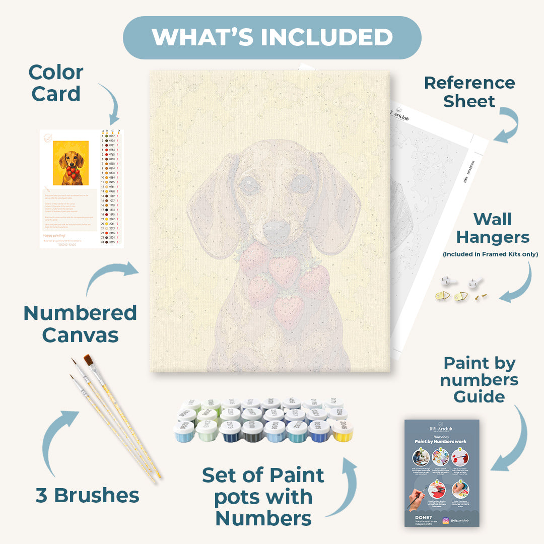 Strawberry Dachshund | Paint by Number