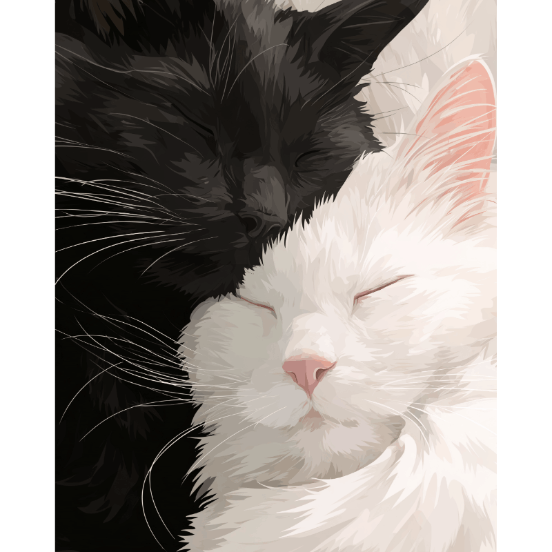 Black & White Velvet | Paint by Number- Paint by Numbers