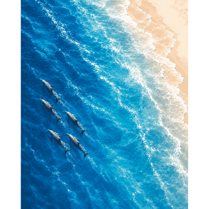 Dolphins From Above | Paint by Number- Paint by Numbers