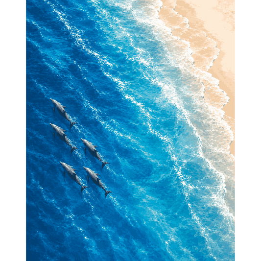 Dolphins From Above | Paint by Number- Paint by Numbers