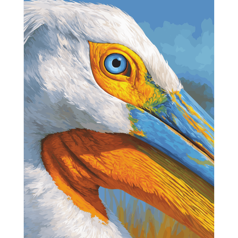 Pelican Portrait | Paint by Number- Paint by Numbers