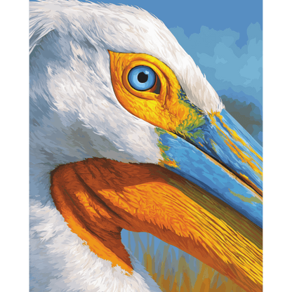 Pelican Portrait | Paint by Number- Paint by Numbers