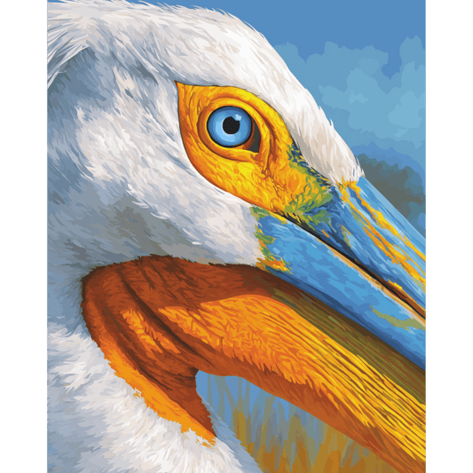 Pelican Portrait | Paint by Number- Paint by Numbers
