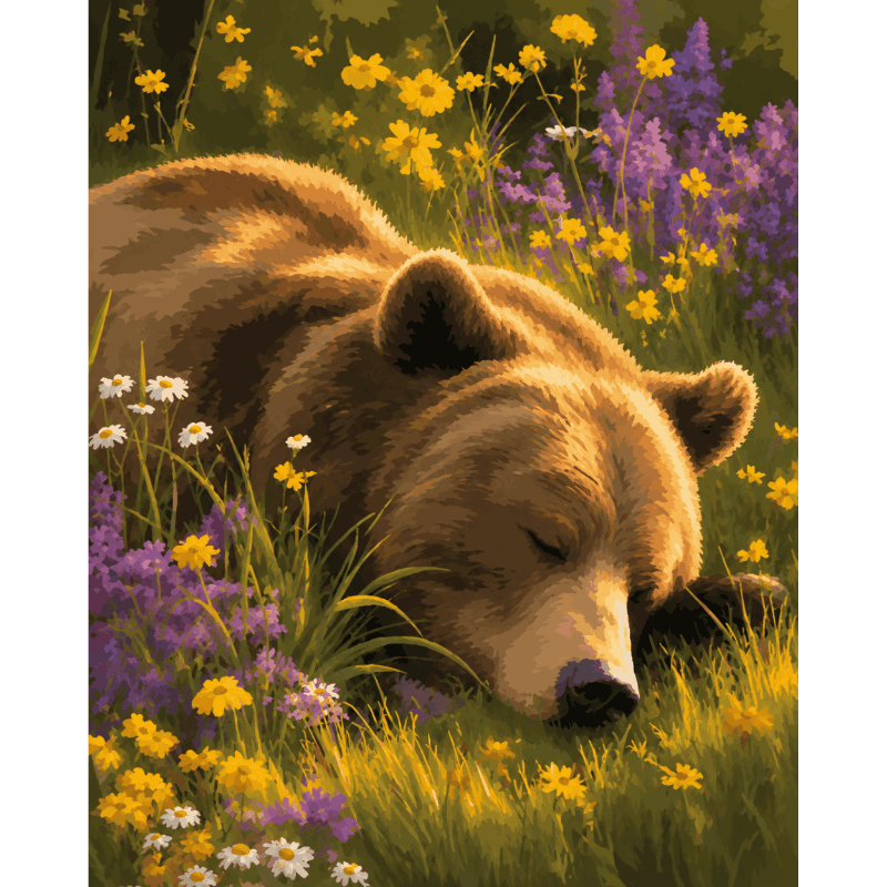 Sleepy Grizzly | Paint by Number- Paint by Numbers