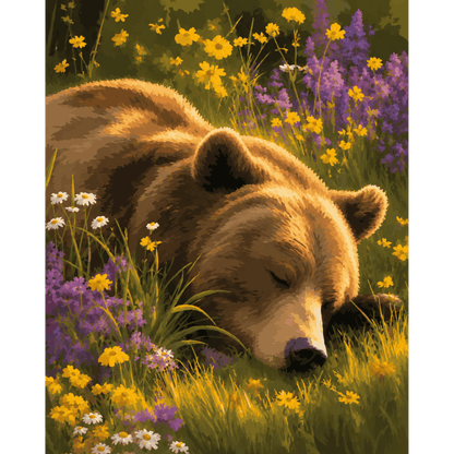 Sleepy Grizzly | Paint by Number- Paint by Numbers
