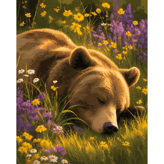 Somnolent Grizzli | Peinture par numéros Peinture par numéros