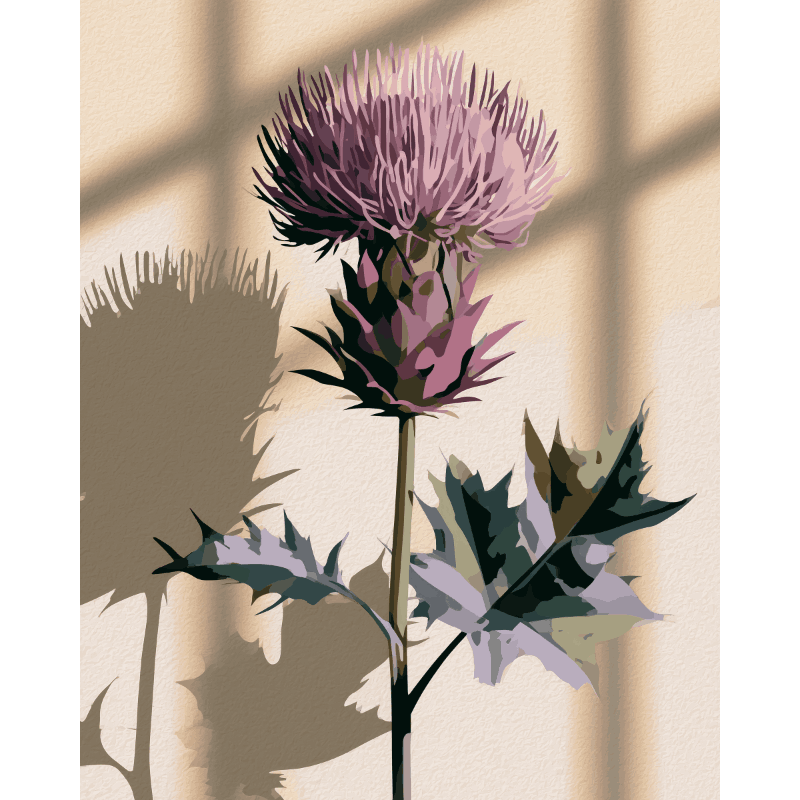 Scottish Thistle | Paint by Number- Paint by Numbers