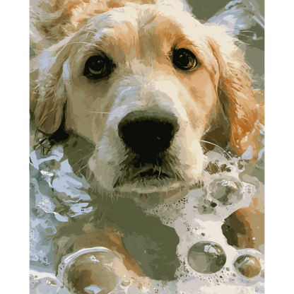 Soapy Retriever | Paint by Number- Paint by Numbers