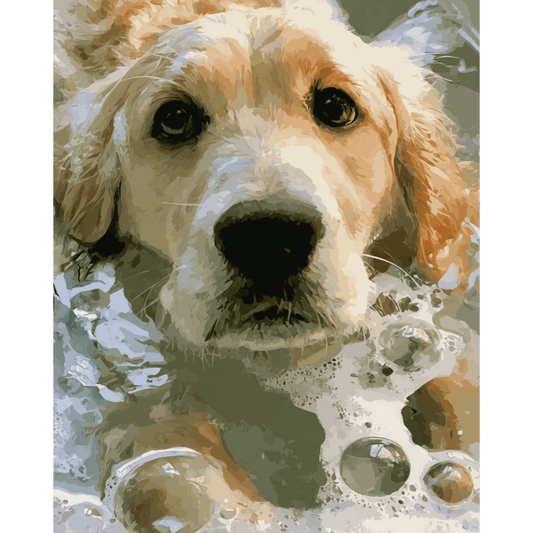 Soapy Retriever | Paint by Number- Paint by Numbers