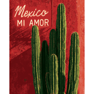 Mexico Mi Amor | Paint by Number