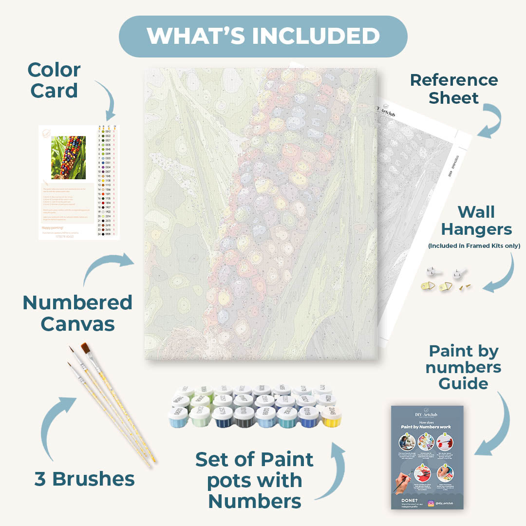 Rainbow Harvest | Paint by Number