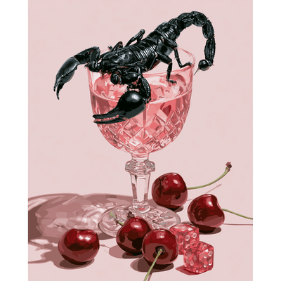 Scorpio Rosé | Paint by Number