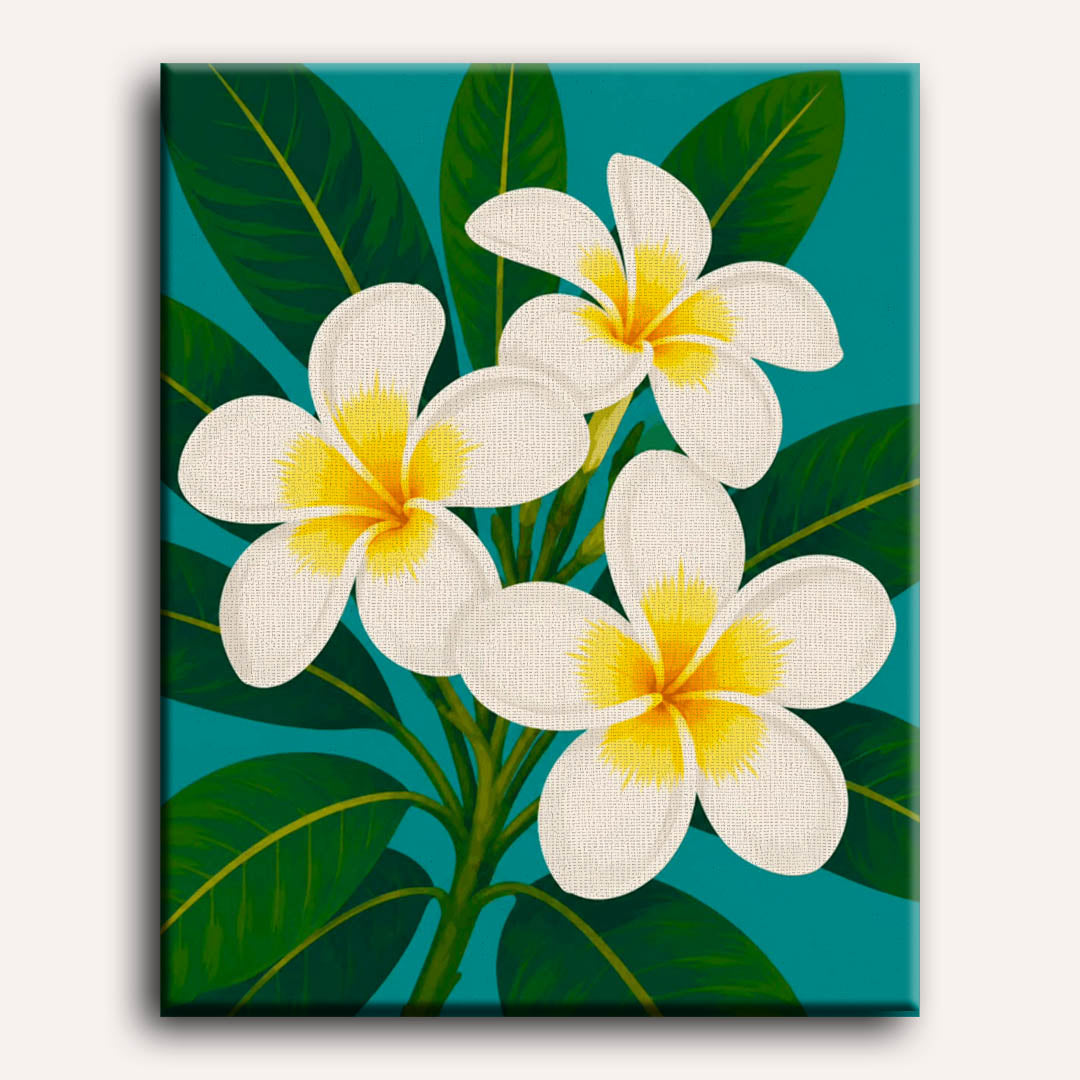 Frangipani Flowers | Paint by Number