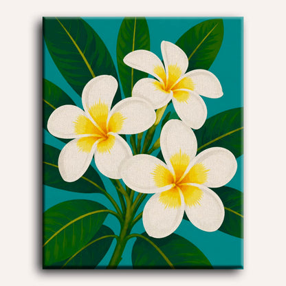 Frangipani Flowers | Paint by Number