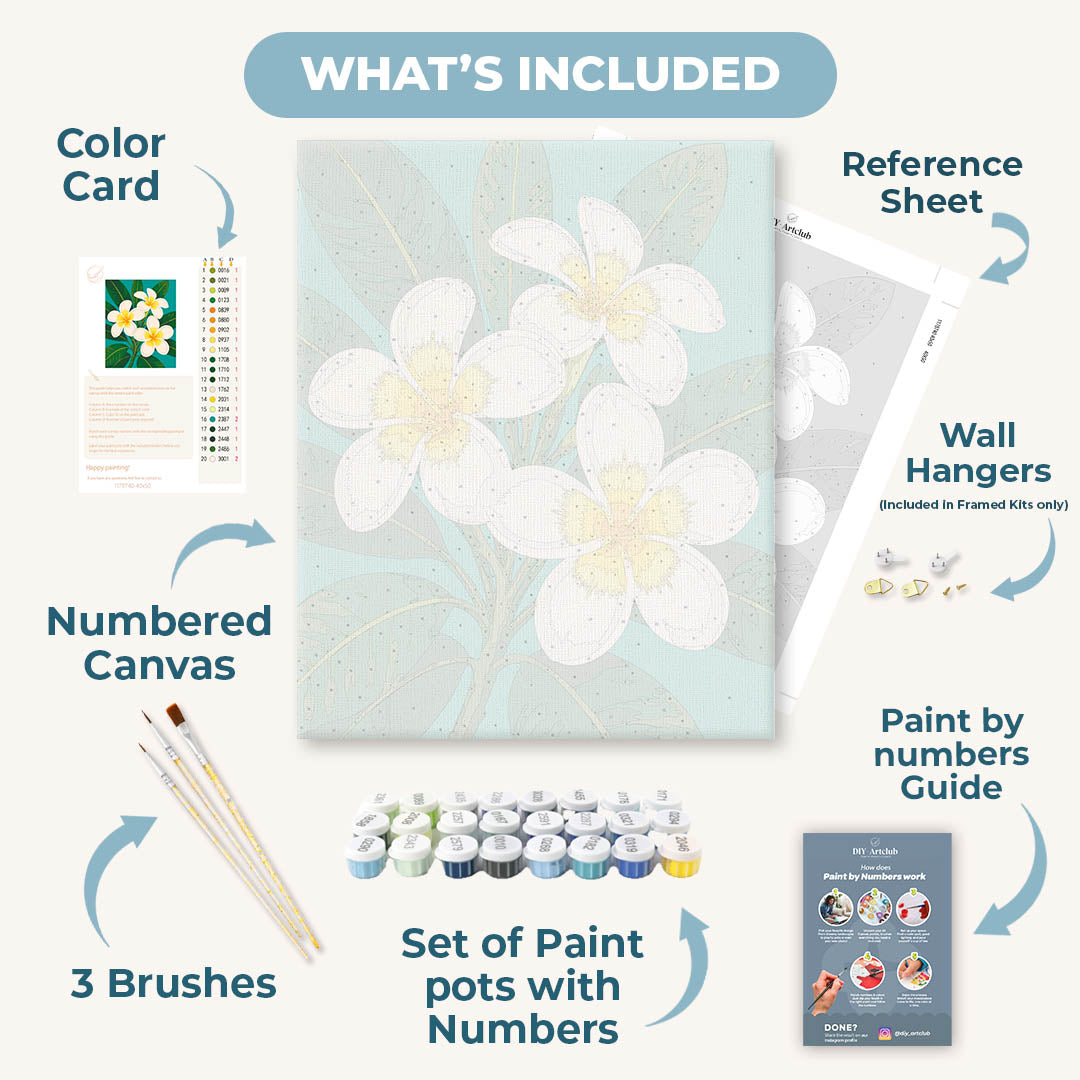 Frangipani Flowers | Paint by Number