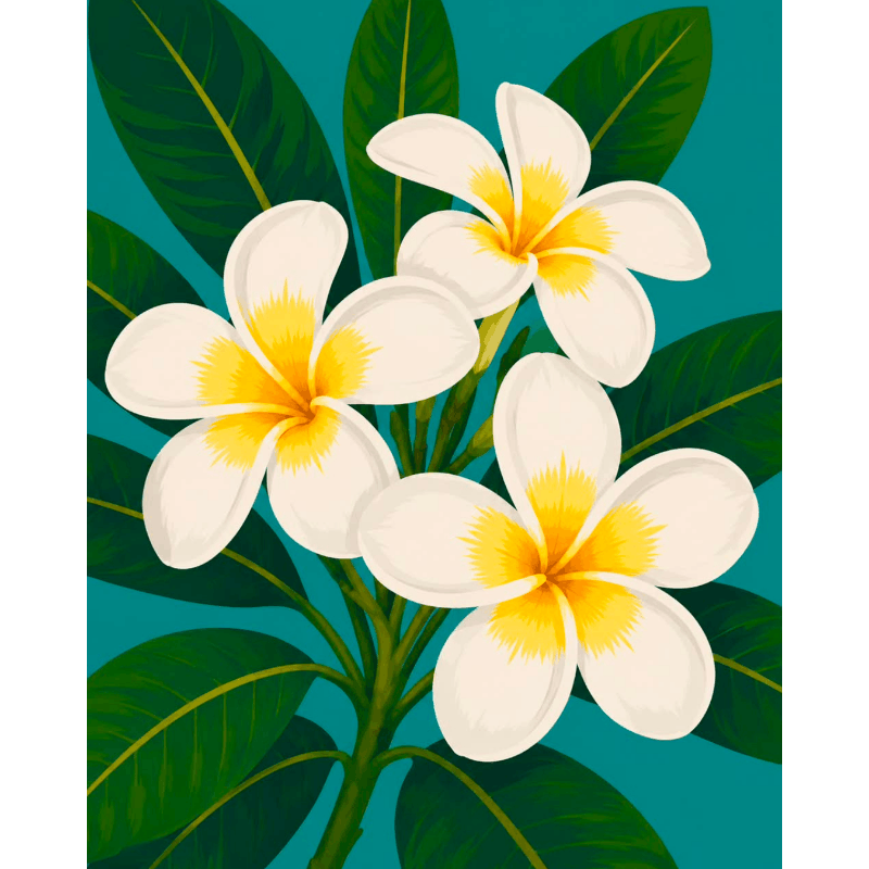 Frangipani Flowers | Paint by Number- Paint by Numbers