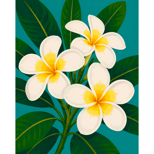Fleurs Frangipanier | Peinture par numéros- Peinture par numéros