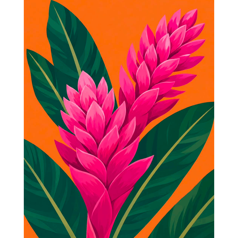 Fleur d'Île | Peinture par numéros - Peinture par numéros