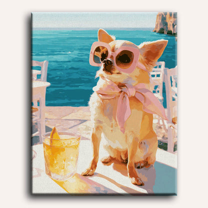 Tyylikäs chihuahua | Numeromaalaus
