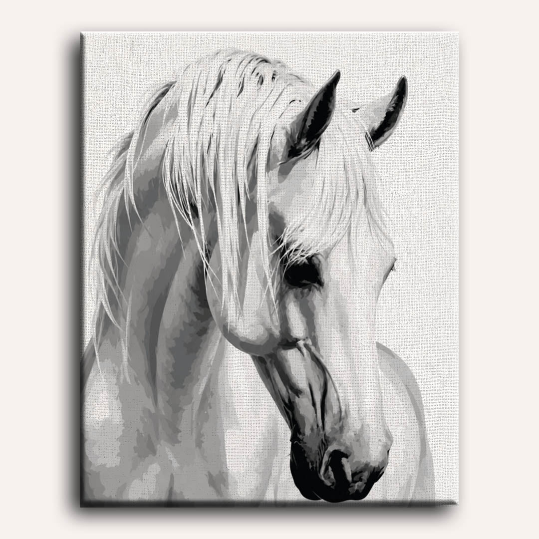 Gentle Stallion | Paint by Number