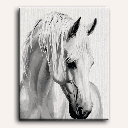 Gentle Stallion | Paint by Number