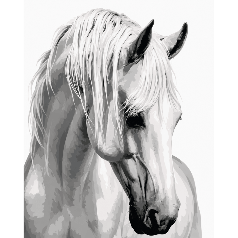 Gentle Stallion | Paint by Number- Paint by Numbers