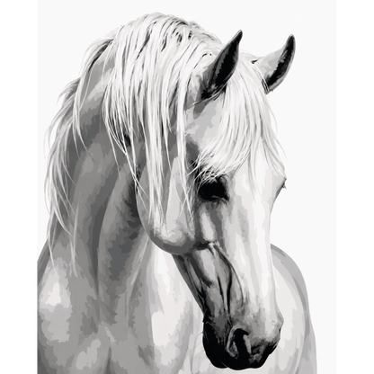 Gentle Stallion | Paint by Number- Paint by Numbers