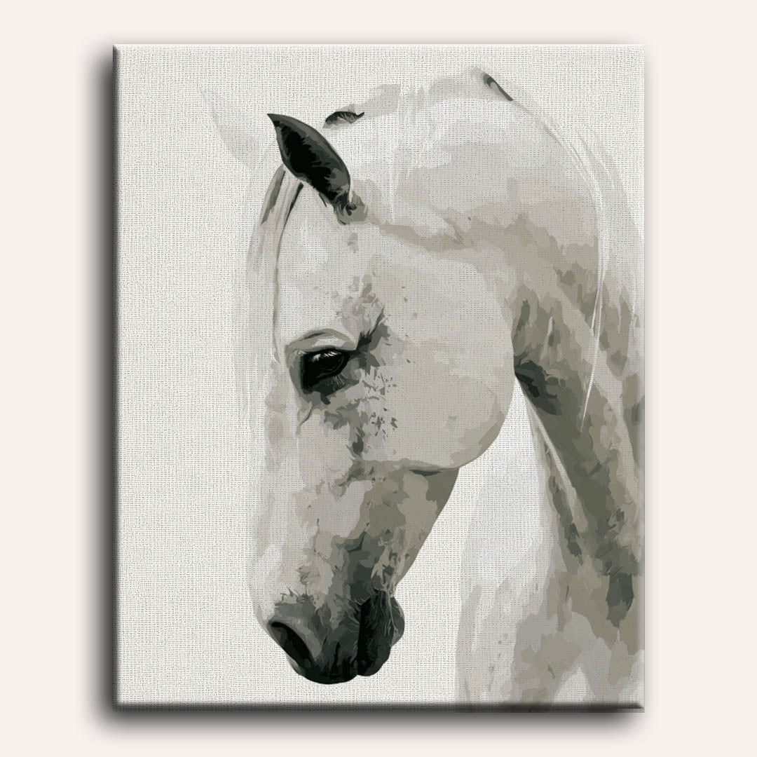 Noble White | Paint by Number