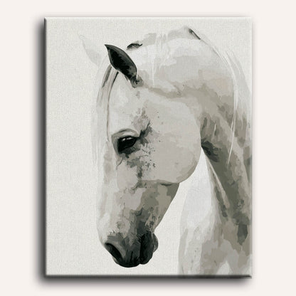 Noble White | Paint by Number