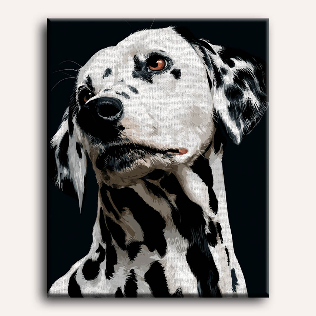 Spotted | Paint by Number