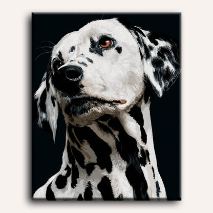 Spotted | Paint by Number