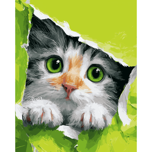 Peeking Kitten | Paint by Number- Paint by Numbers