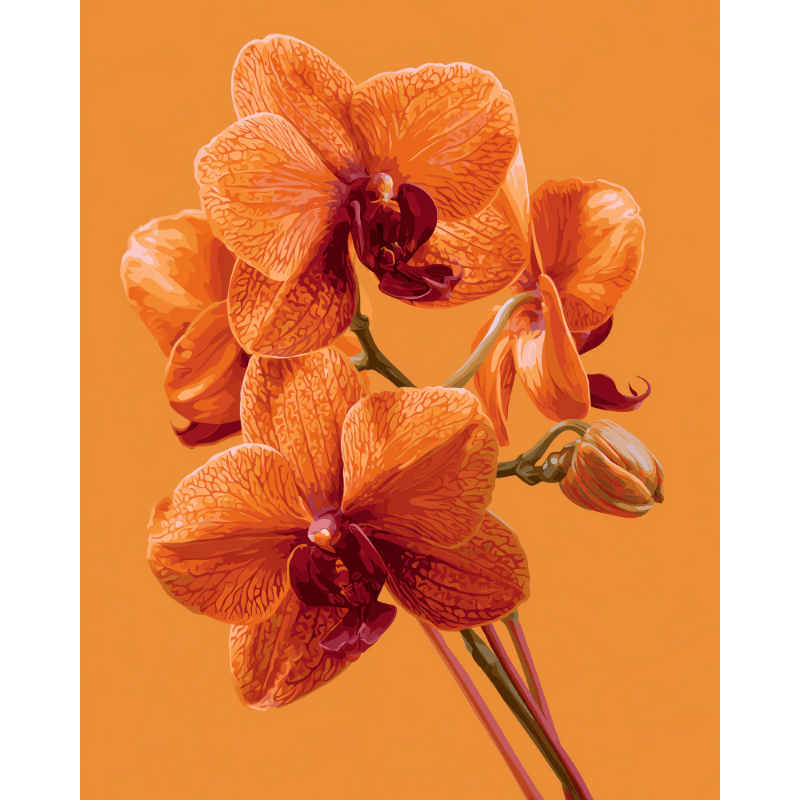 Orchid Glow | Paint by Number- Paint by Numbers