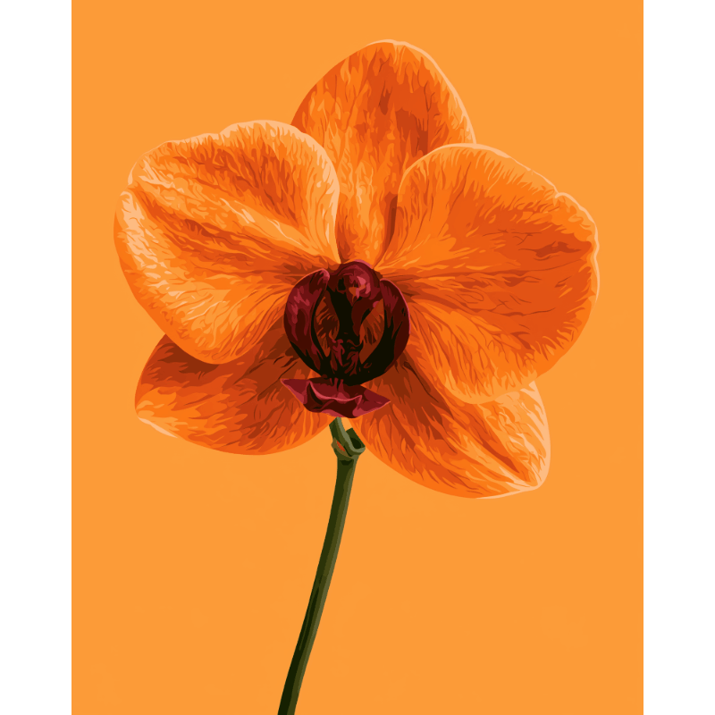 Tangerine Orchid | Paint by Number- Paint by Numbers