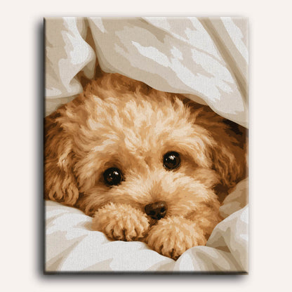 Cozy Paws | Paint by Number
