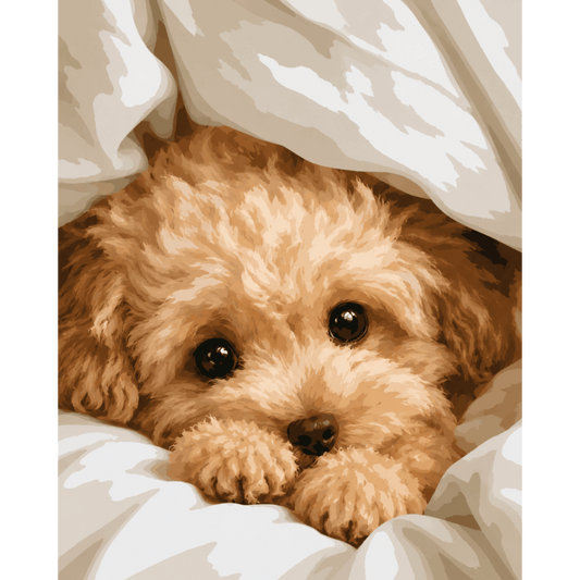 Cozy Paws | Paint by Number- Paint by Numbers