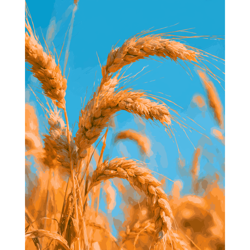 Golden Harvest | Paint by Number- Paint by Numbers