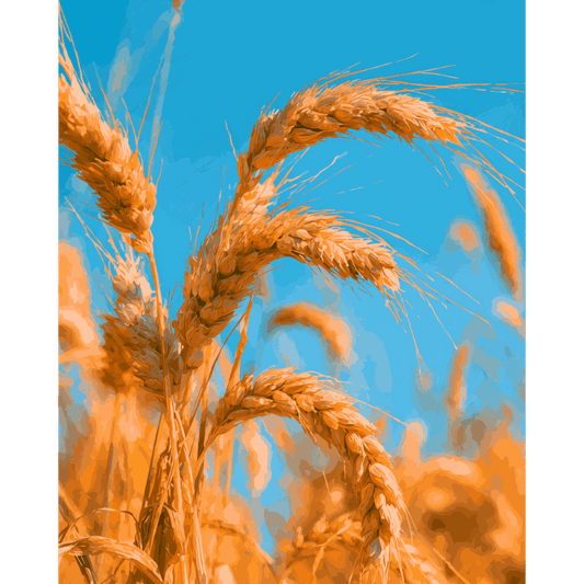 Golden Harvest | Paint by Number- Paint by Numbers
