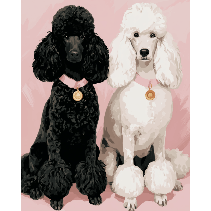 Poodle Prestige | Paint by Number- Paint by Numbers