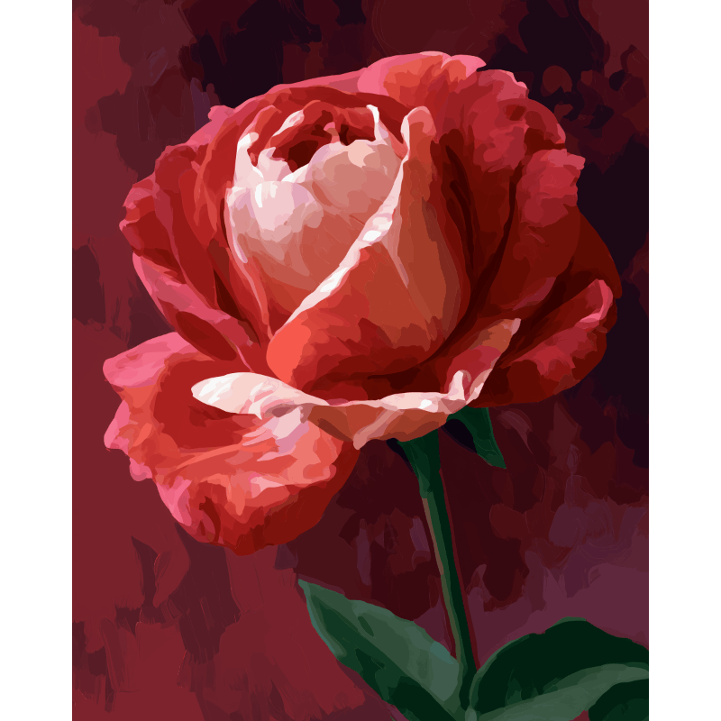 Crimson Rose | Paint by Number- Paint by Numbers