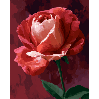 Crimson Rose | Paint by Number- Paint by Numbers
