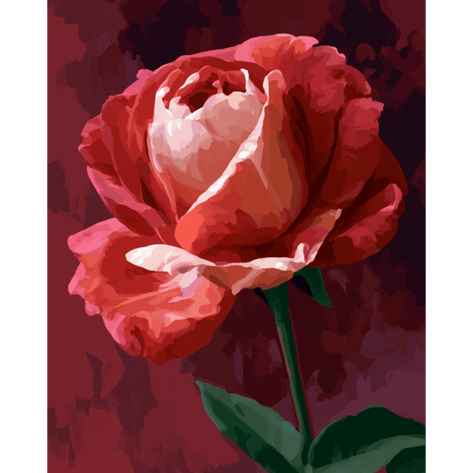 Crimson Rose | Paint by Number- Paint by Numbers