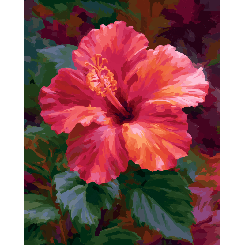 Coral Hibiscus | Paint by Number- Paint by Numbers