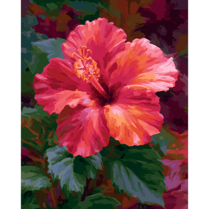 Coral Hibiscus | Paint by Number- Paint by Numbers