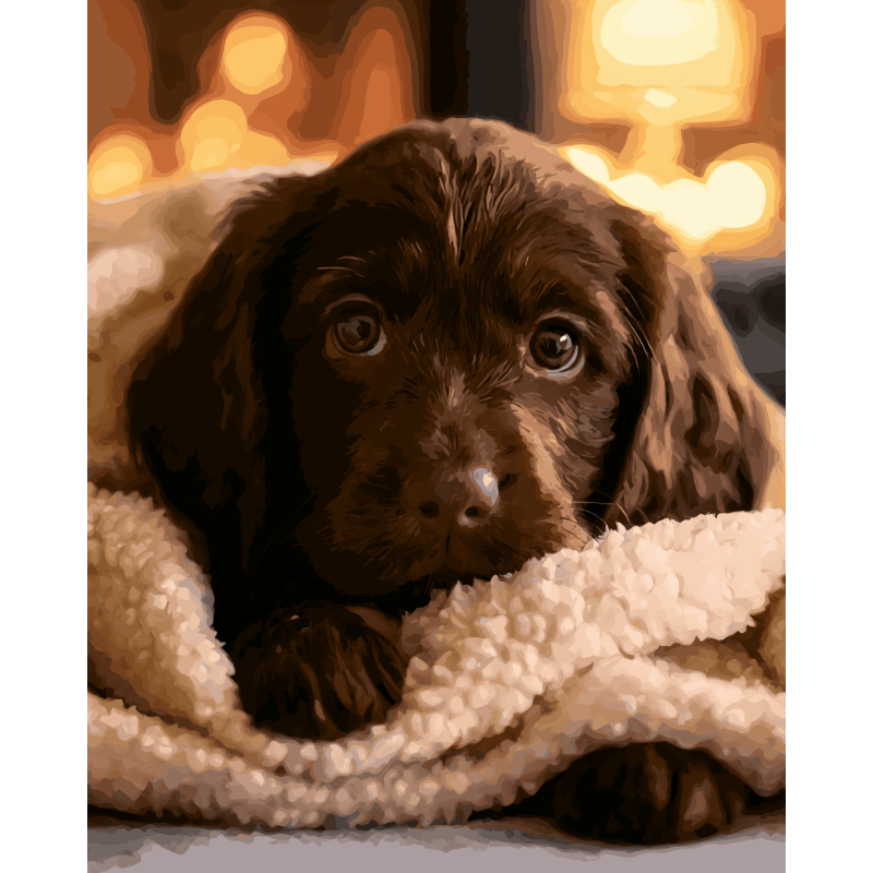 Chocolate Labrador Pup | Paint by Number- Paint by Numbers