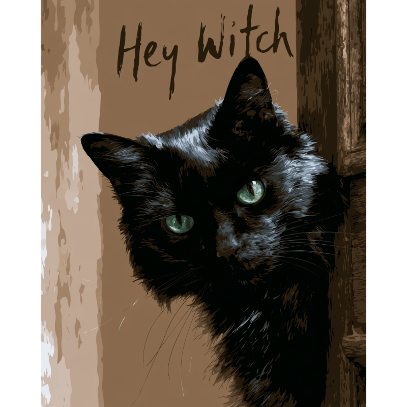 Hey Witch | Paint by Number- Paint by Numbers