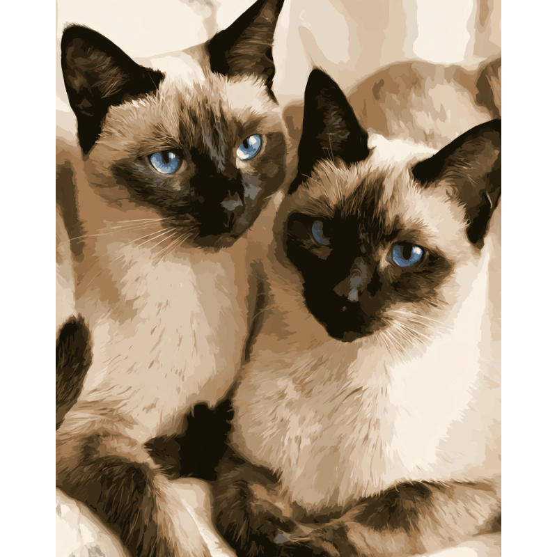 Siamese Companions | Paint by Number- Paint by Numbers
