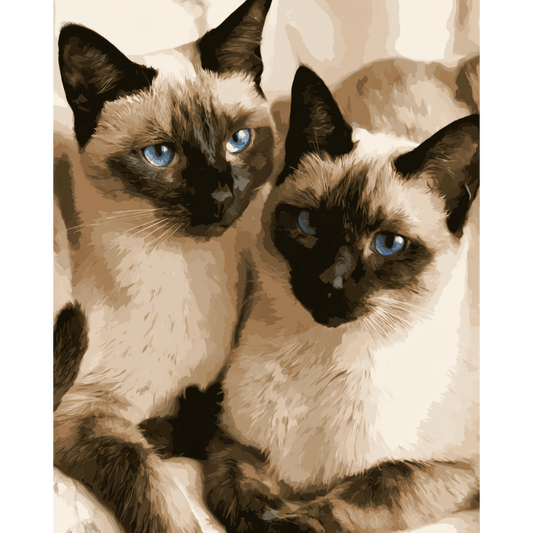 Siamese Companions | Paint by Number- Paint by Numbers