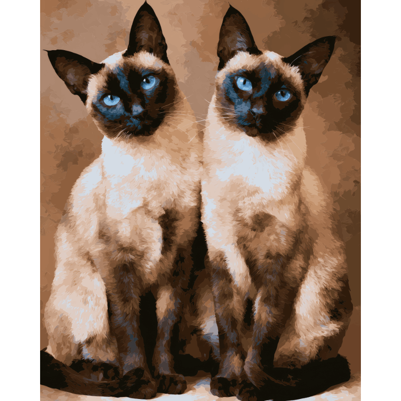 Siamese Duo | Paint by Number- Paint by Numbers