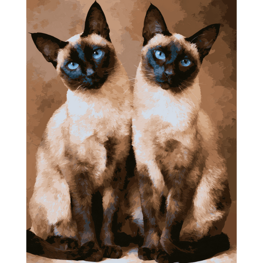 Siamese Duo | Paint by Number- Paint by Numbers